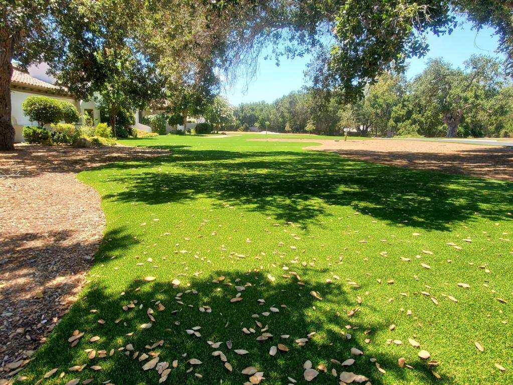 Backyard artificial turf lawn shaded by mature oak trees - Green Forever Turf Texas