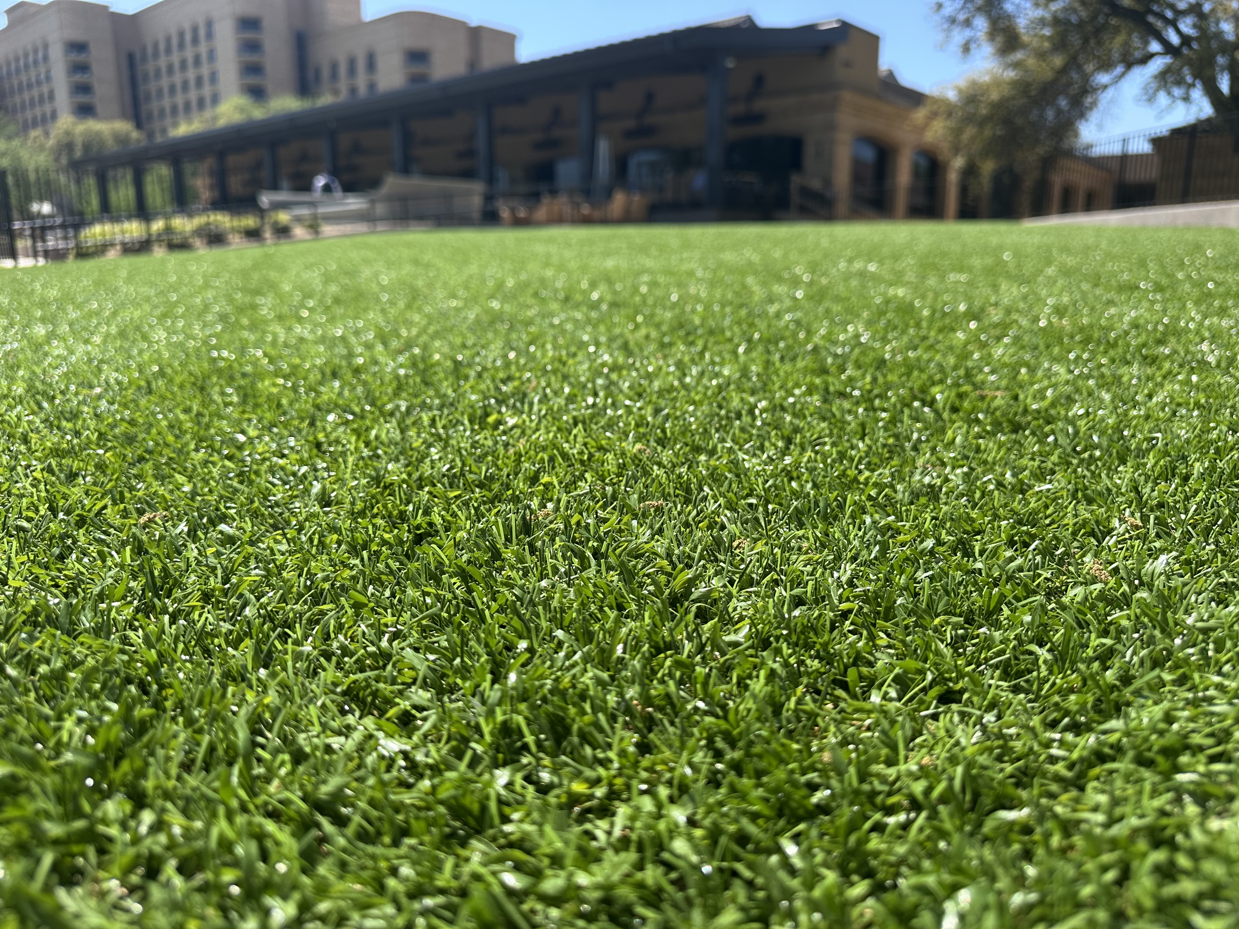 Commercial turf blade closeup - Green Forever Turf Texas
