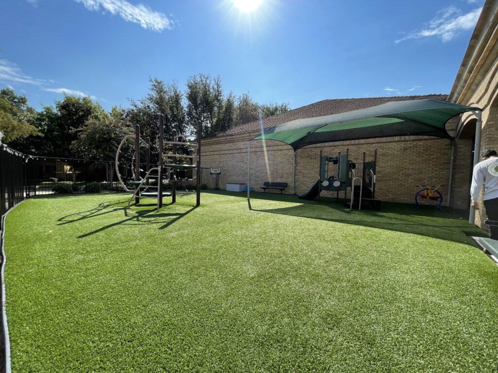 Best Artificial Turf for Dogs