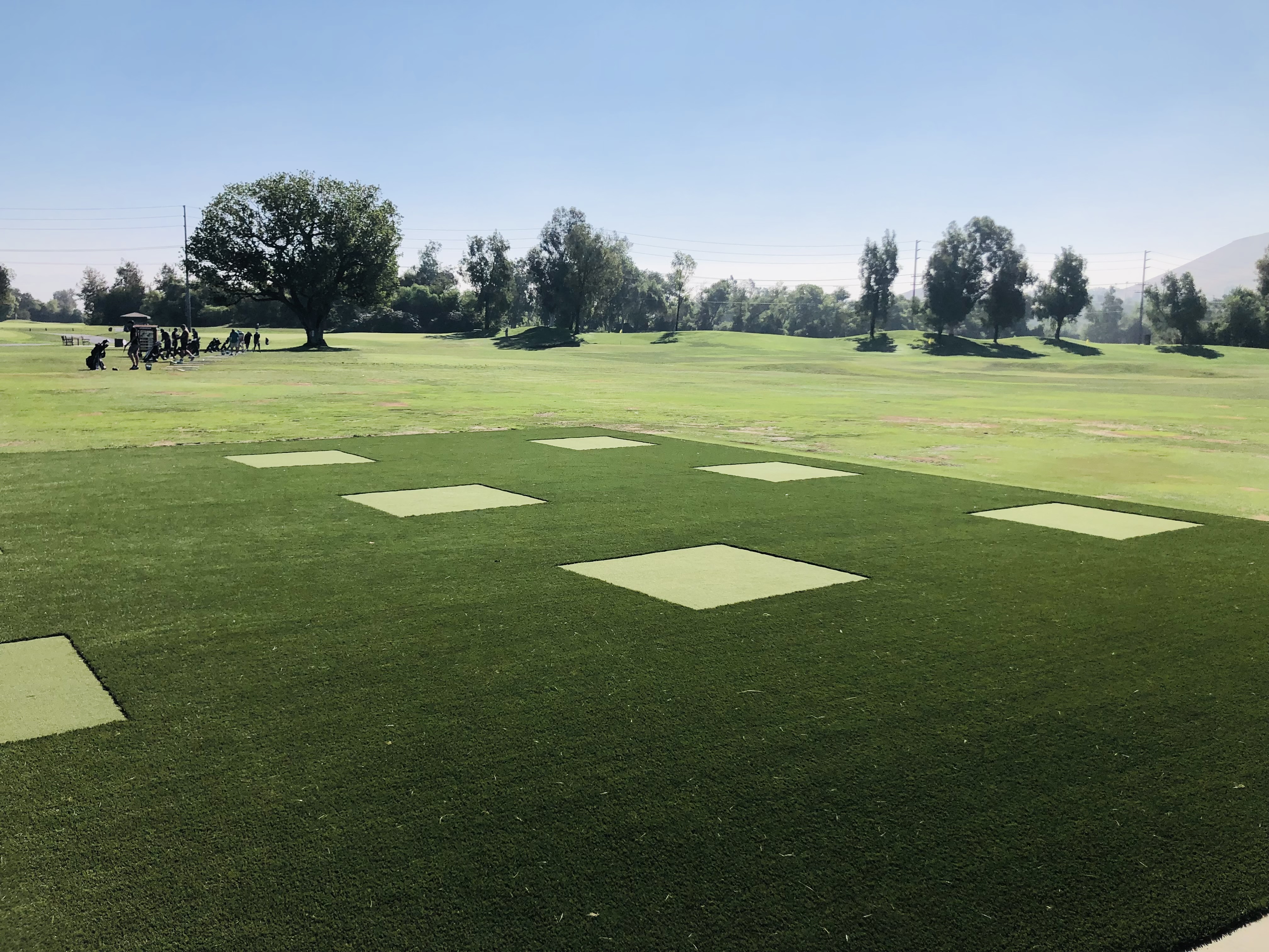 Sports field golf course tee boxes - Green Forever Turf Texas