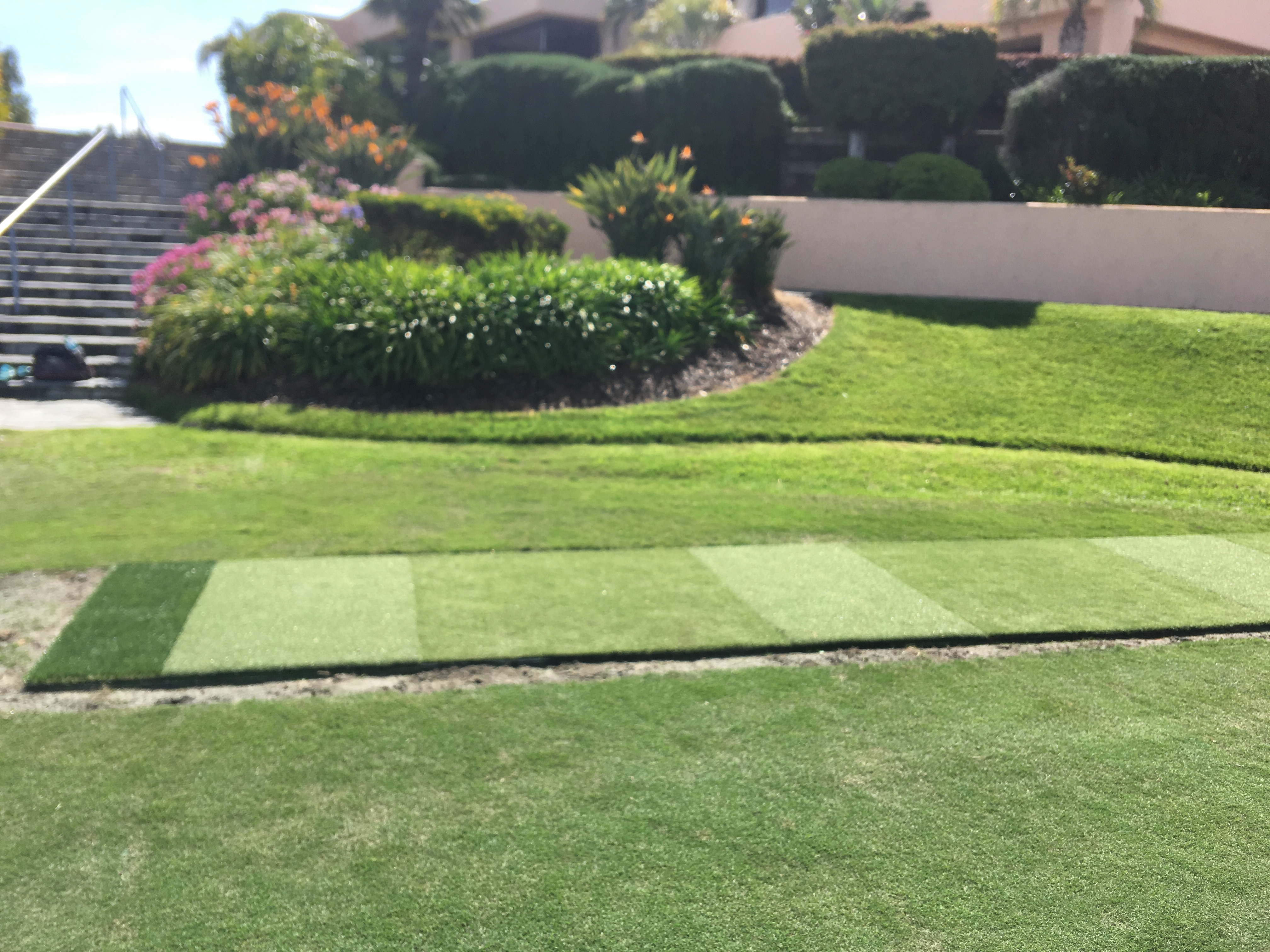 Sports field estate golf tee mat - Green Forever Turf Texas