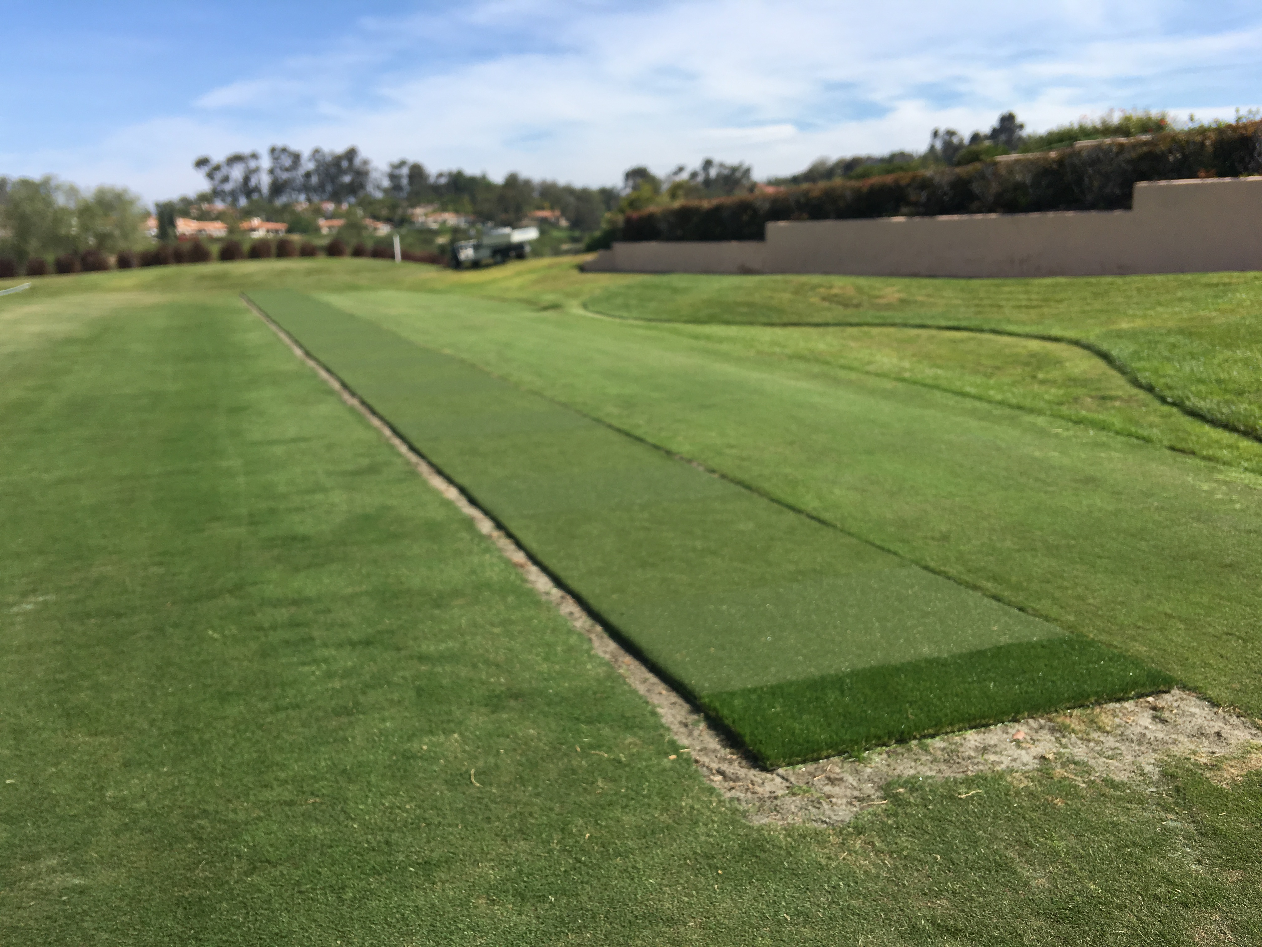 Sports field long golf tee lane installation - Green Forever Turf Texas